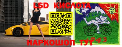 a pvp Краснокаменск