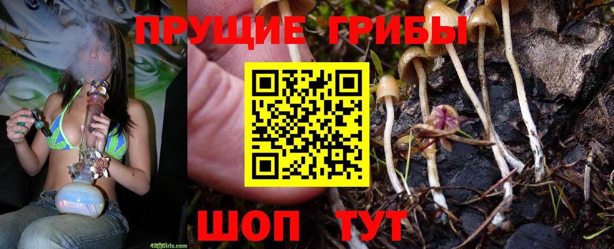 Псилоцибиновые грибы ЛСД  Вход с VPN  Красноармейск 