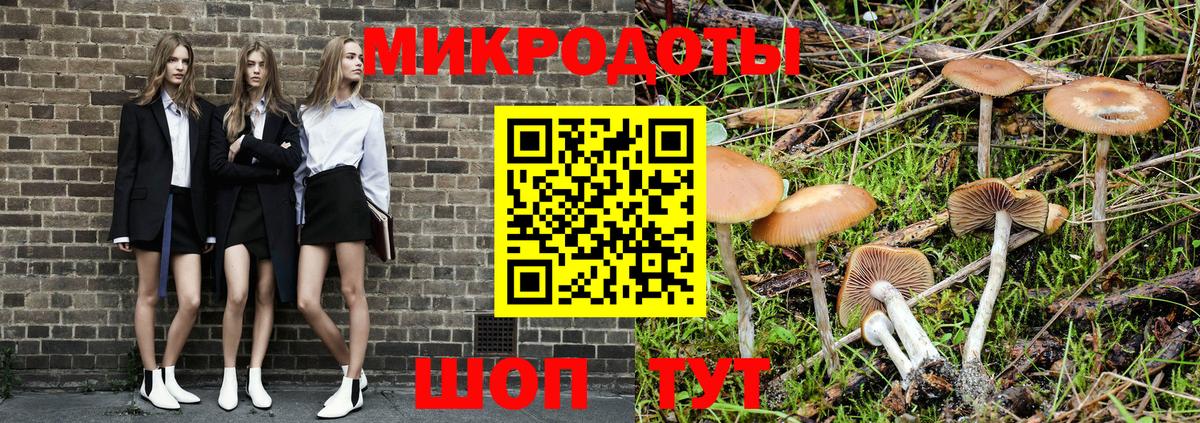 Галлюциногенные грибы Psilocybe Красноармейск